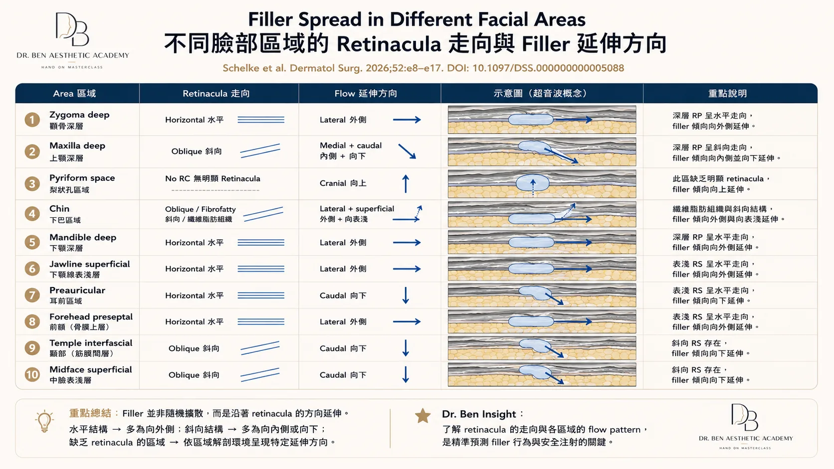 不同臉部區域的 Retinacula 走向與 Filler 延伸方向圖表