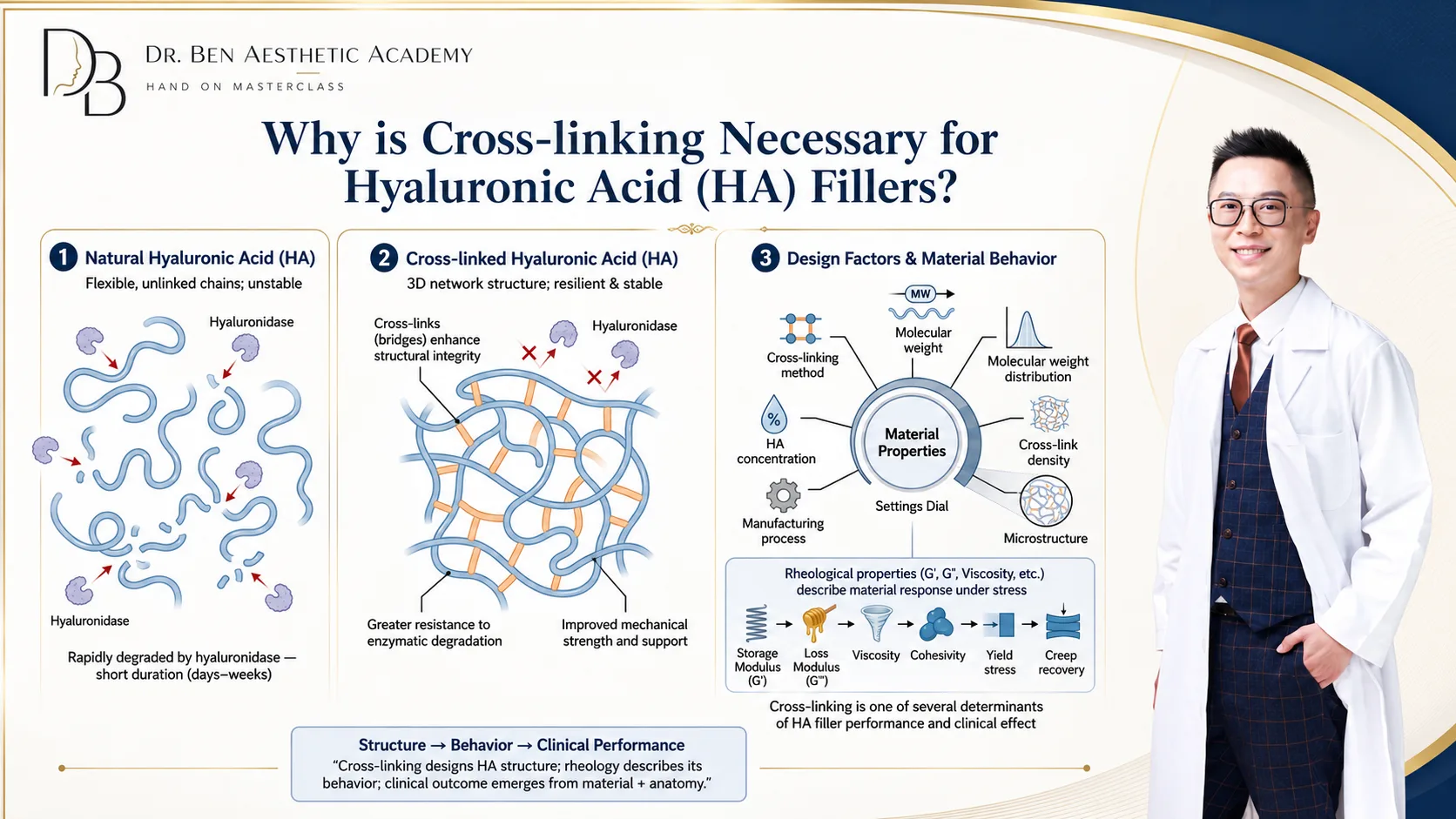 HA Cross-linking Foundation Series 封面