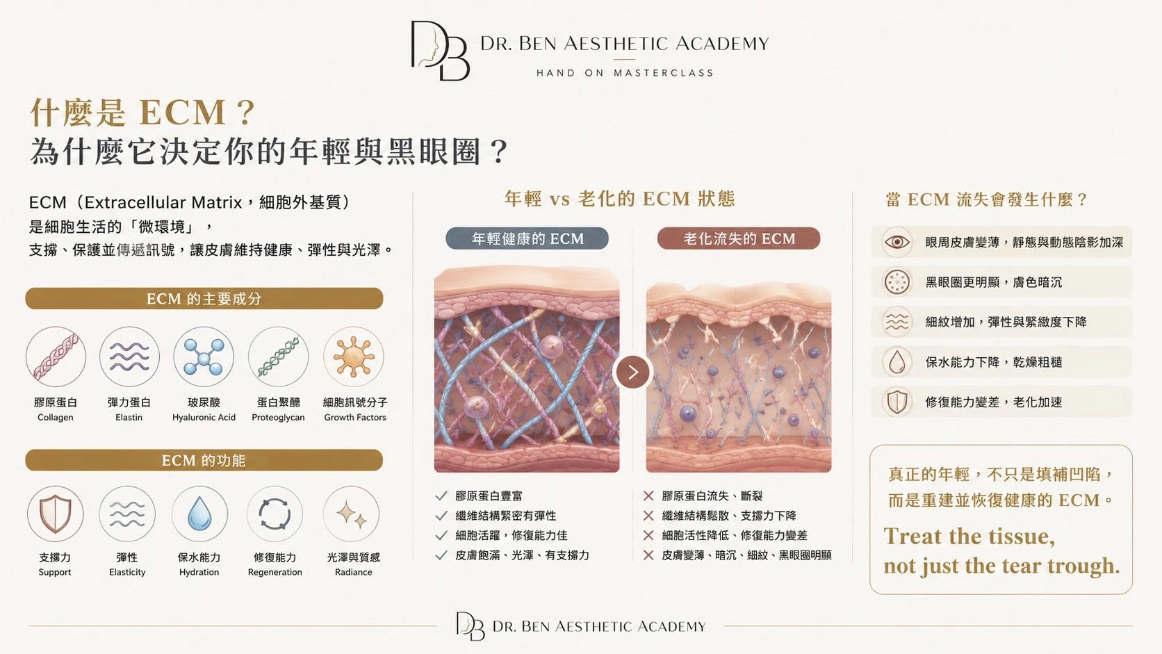 ECM 細胞外基質的組成、功能，以及年輕與老化 ECM 對眼周年輕和黑眼圈的影響